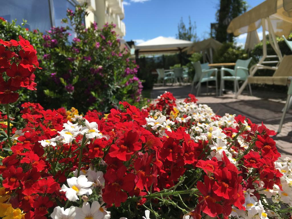 Hotel Consul Milano Marittima Esterno foto